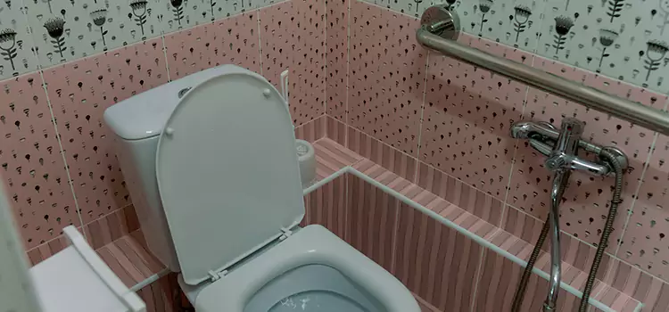 Meeting Diverse Needs With Accessible Restroom Solutions in Kenmore, WA
