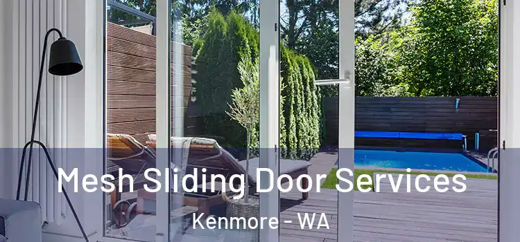 Mesh Sliding Door Services Kenmore - WA